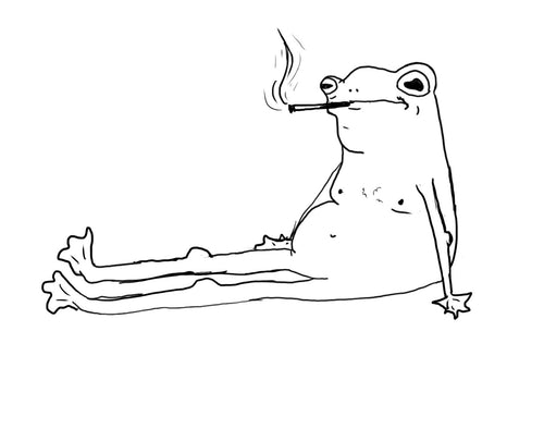 Ernie the smoking frog